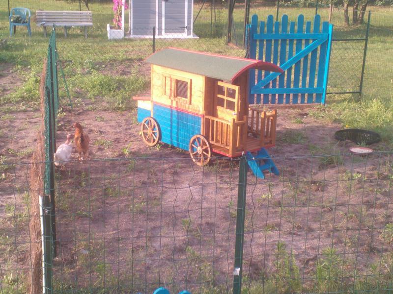 plan poulailler roulotte